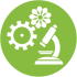 Sviluppo locale e innovazione