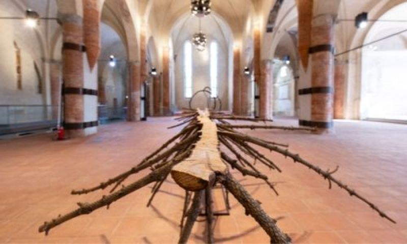 A Cuneo fino al 2 febbraio la mostra “Giuseppe Penone: Incidenze del Vuoto”