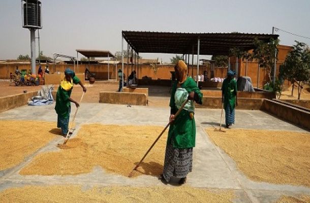 Dal diritto al cibo all’imprenditorialità agricola: i risultati di tre anni di Fondazioni for Africa Burkina Faso