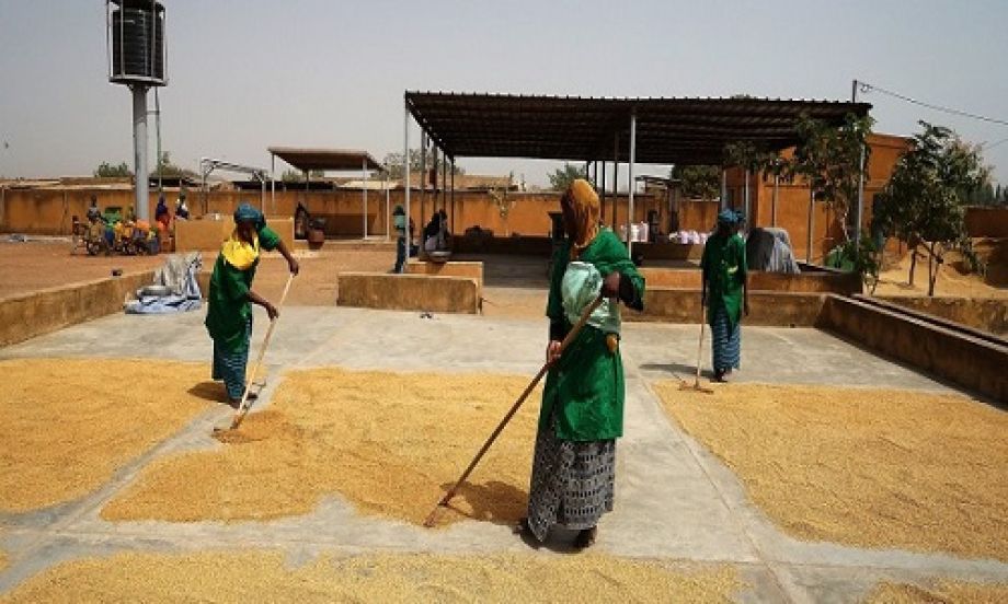 Dal diritto al cibo all’imprenditorialità agricola: i risultati di tre anni di Fondazioni for Africa Burkina Faso
