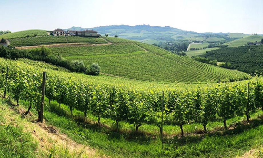 Dalla vigna storica di Grinzane Cavour un Barolo di grande valore