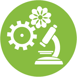 Sviluppo locale e innovazione