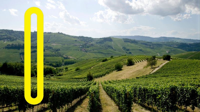 Un microprogetto per un grande obiettivo: l’esperienza del progetto S.C.A.L.A. nella lotta al cambiamento climatico