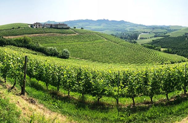 Dalla vigna storica di Grinzane Cavour un Barolo di grande valore