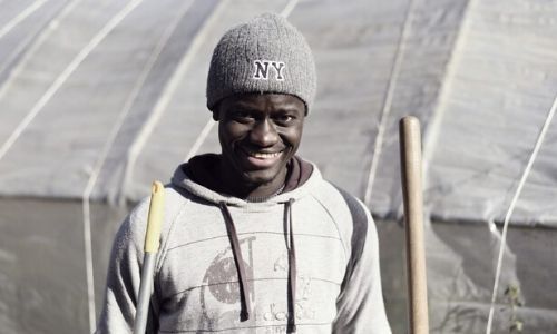 HUMUS JOB: nasce a Cuneo la piattaforma indipendente pensata per aiutare le aziende agricole a trovare i lavoratori