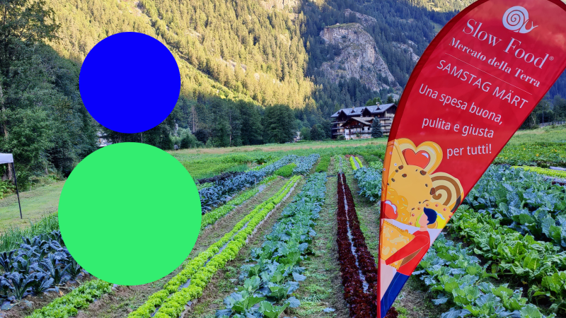 L’alimentazione come filo conduttore tra ambiente, sostenibilità e comunità: il progetto Slow Food